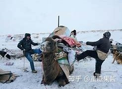 内蒙古冬牧场 | 中国国家地理网