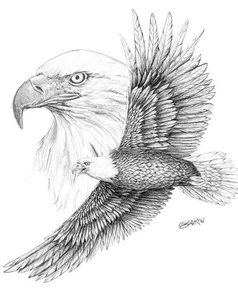 Eagle Soaring Drawing at PaintingValley.com | Explore collection of ...