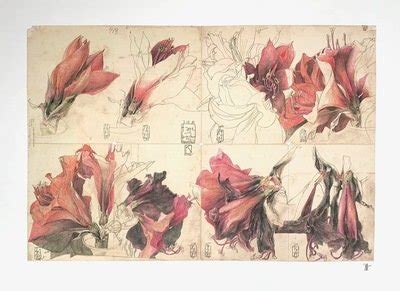 Horst Janssen For Sale - Art, Prices & Info | ARTEDIO