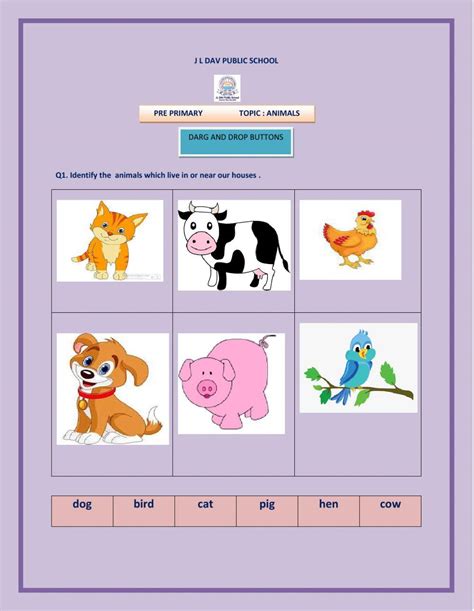 Image result for Pre-Primary Learning