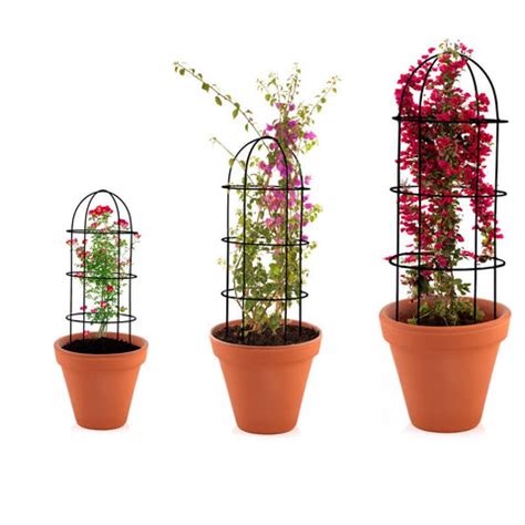 Plant Support Garden Clips - Set of 50 – TrustBasket
