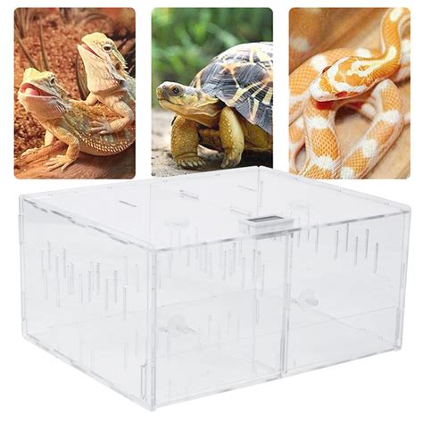 Buy Acrylic Reptile Tank Insect Spiders Lizard Breeding Box Cage ...