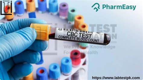 Complete Blood Count (CBC) Test Explained