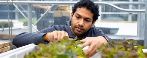 Information Systems PhD 的图像结果