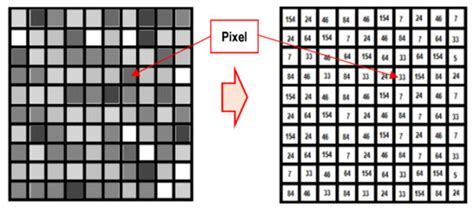 Structural Response Prediction for Damage Identification Using Wavelet ...