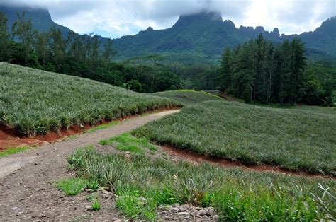 Temae Tourism (2024): All You Need to Know Before You Go