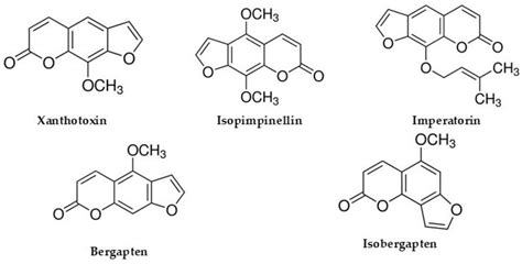 Fast Determination of Furocoumarins in Food Supplements Containing ...