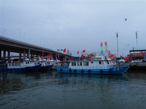 天津北塘码头 出海打鱼渔船 - 哔哩哔哩
