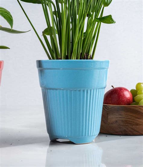 Buy Peace Lily Plant in Tall Ceramic Planter | Buy Plants Online