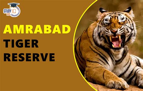 Amrabad Tiger Reserve Map, Flora, Fauna, Significance