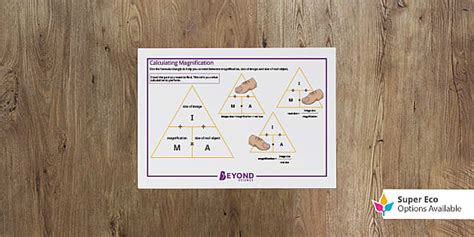 Calculating Magnification Desk Prompt | GCSE Biology |Beyond