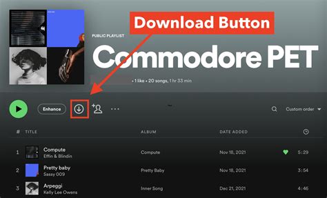 How To Download A Spotify Playlist | Robots.net