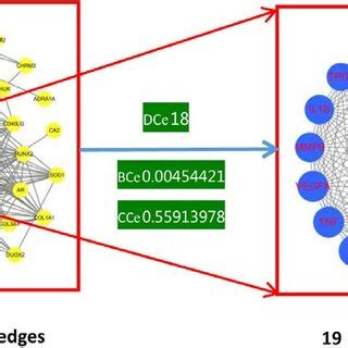 Image result for Core Target