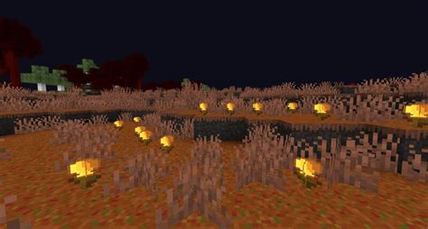 Image result for Texture Pack Minecraft 1.17.1 Java