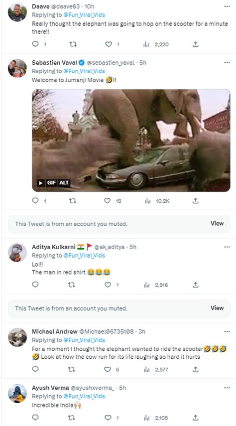 'Scene From Jumanji': Netizens Escape Attack by Angry Elephant on ...