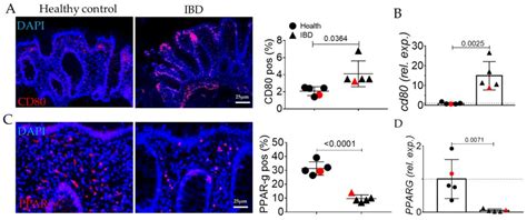 PPAR-Gamma Orchestrates EMT, AGE, and Cellular Senescence Pathways in ...