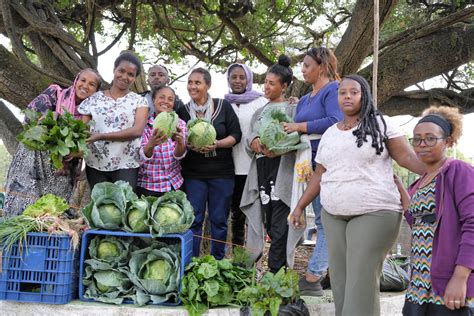 Improve Local Living 的图像结果