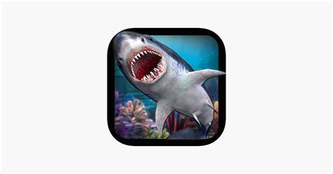 Shark Simulation 的图像结果