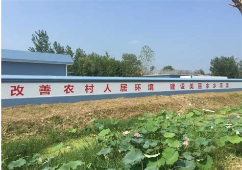 中信环境技术湖北公司与汉川市政府就乡镇污水处理项目展开深度合作_TOM资讯