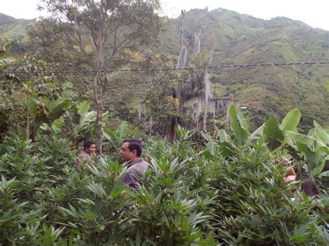 Toribio Tourism (2023): Best of Toribio, Colombia - Tripadvisor