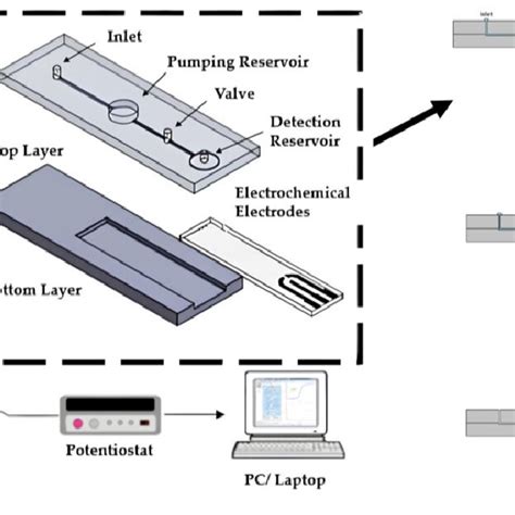 Science 的图像结果