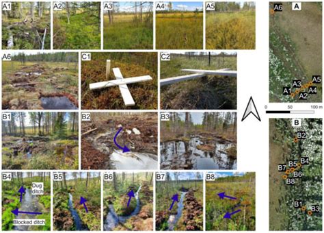 Remote Sensing | Special Issue : Remote Sensing for Water Environment ...