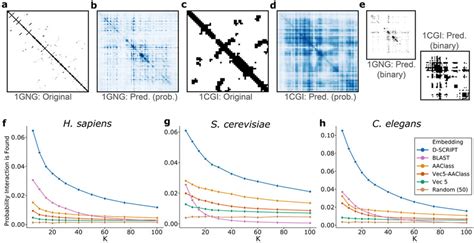 Image result for D/<Script