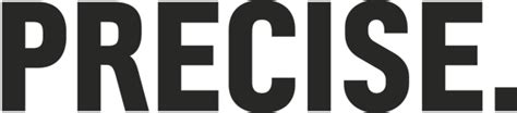 Image result for Define Precise