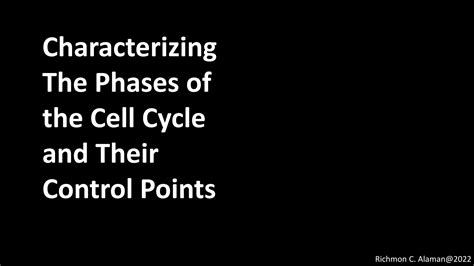Image result for Crash Course Cell Cycle