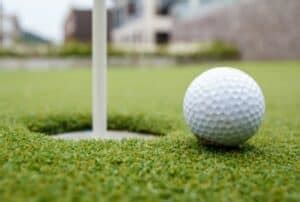 Image result for Longest 12-Inch