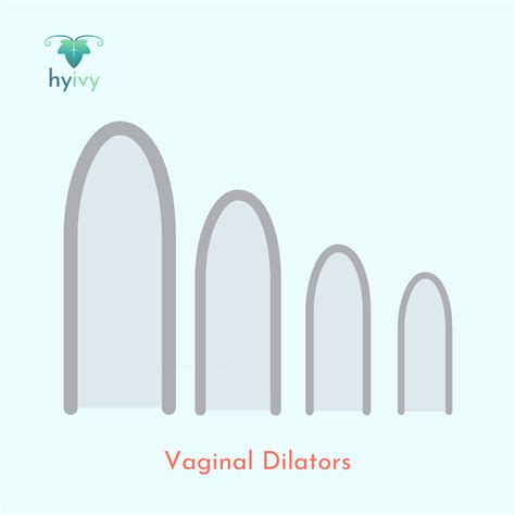 Your Trusted Resource for Common Pelvic Health Terms | Hyivy