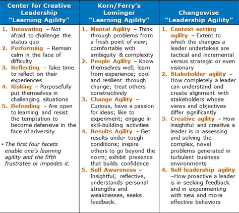 Lominger Competency Model 的图像结果