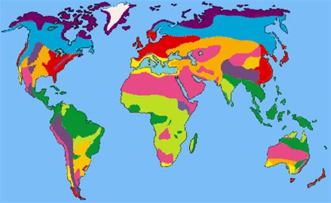 Swamp World Map 的图像结果