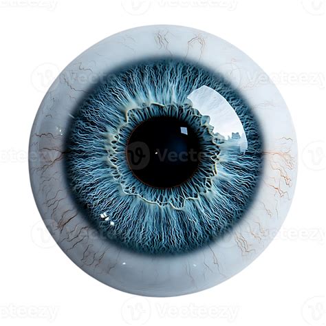 A Close-Up View of a Realistic Blue Eye with a Transparent Background ...