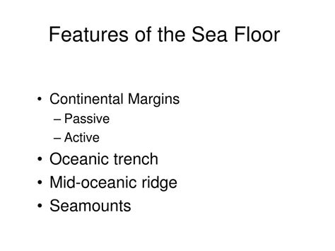 Sea Floor 的图像结果