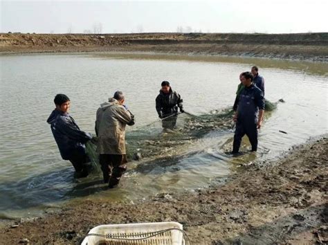 德阳钓场_德阳钓场大全_德阳哪里能钓鱼 - 钓鱼之家