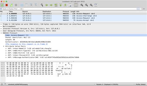 Image result for Radius Packet Capture