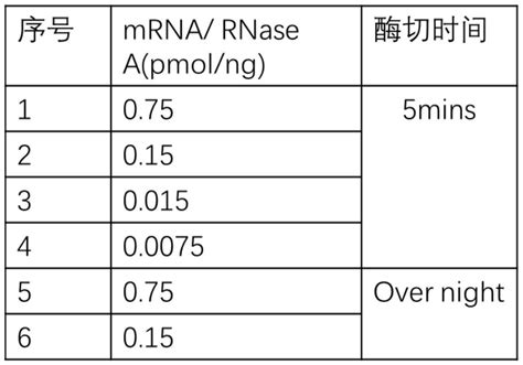 RNA Polya 的图像结果