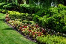 Image result for Lesson 10 Functions Practice Code.org