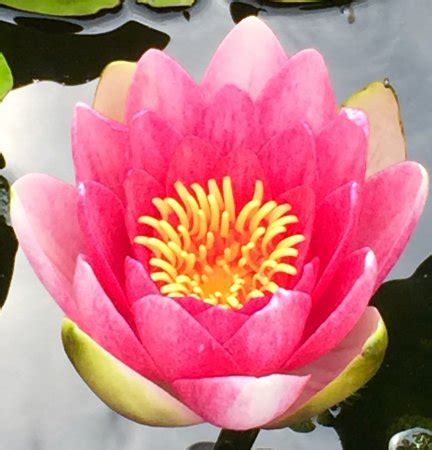 Stonor Park & Gardens - 2022 What to Know Before You Go (with Photos ...