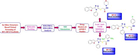 An Exploration of the Inhibitory Mechanism of Rationally Screened ...
