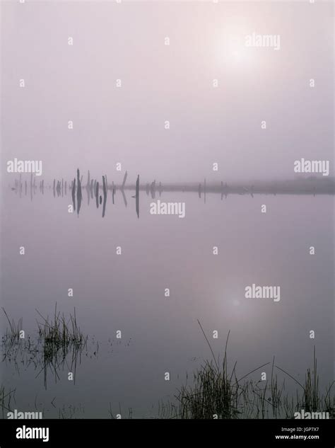 USA, Oregon, Deschutes National Forest, Early morning sun breaks ...