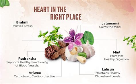 Buy Dabur Heart Health Juice - 1L | Ayurvedic Cardiac Care Juice ...
