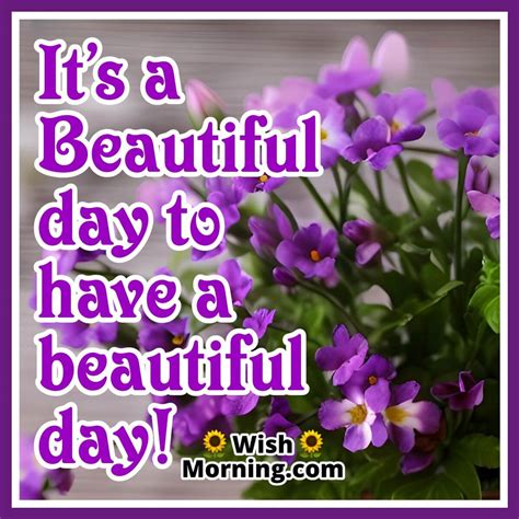 Beautiful Day Images to Spread Smiles and Positivity - Wish Morning
