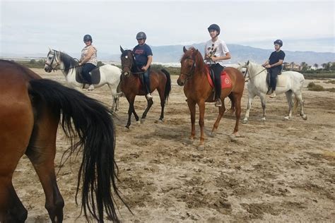 2026 Horseback Riding Beach in Roquetas de Mar and Almerimar (with Reviews)