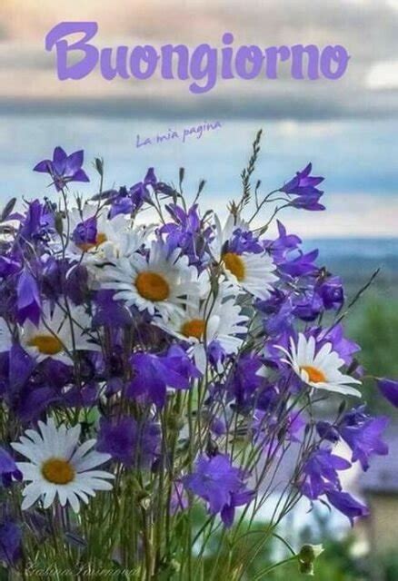 Good Morning In Italian (Buongiorno) – Wishes, Status & Images - Good ...