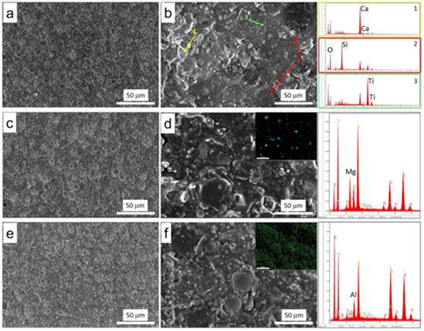 Flame-Retardant Performance Evaluation of Functional Coatings Filled ...