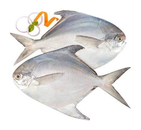Pescafresh Whole White Pomfret Premium Xtra Large - Skinless Fillets ...