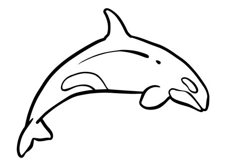 Orca Coloring Pages Free
