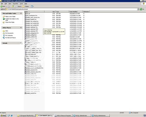 MySQL Database File 的图像结果